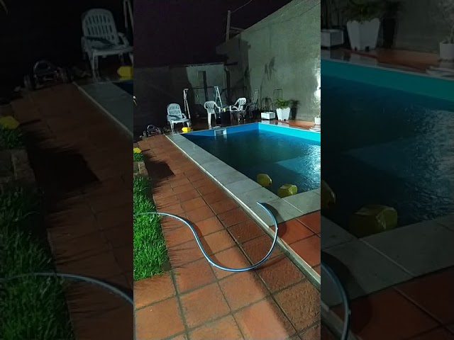 El Carnaval de Ginebra: Desfiles y Máscaras en el Lago Léman