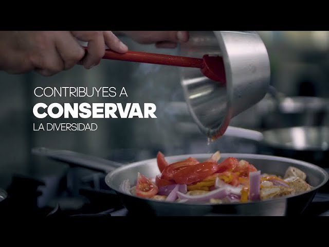 Crianza y alimentación: Introduciendo la diversidad desde temprano