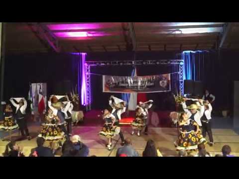 El Carnaval de Locarno: Color y Folklore en la Región de los Lagos