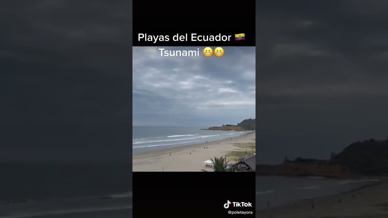 El Carnaval de Schwyz: Alegría y Desfiles en el Corazón de Suiza