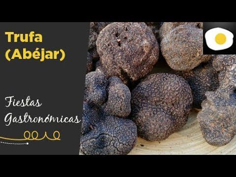 El Festival de la Trufa en Genève: Sabor y Elegancia en la Ciudad Internacional