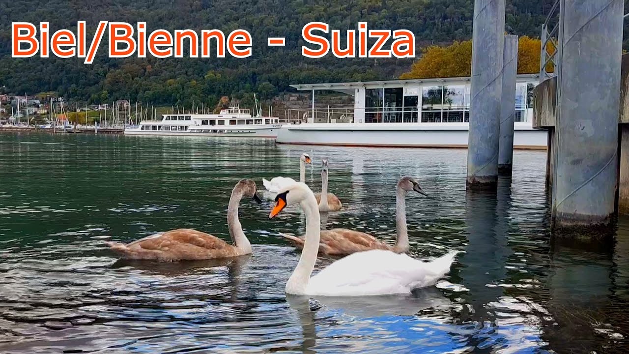 La Fiesta del Vino en Biel/Bienne: Degustación y Cultura en el Cantón de Berna