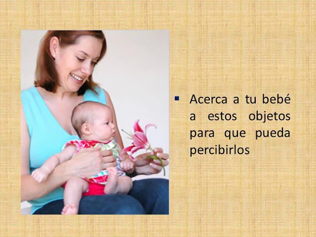 Estimulación temprana: Desarrollo del sentido del olfato en bebés