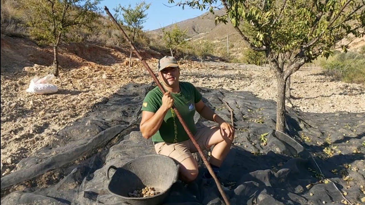 La Fiesta de la Almendra en Campoo: Tradición y Sabor