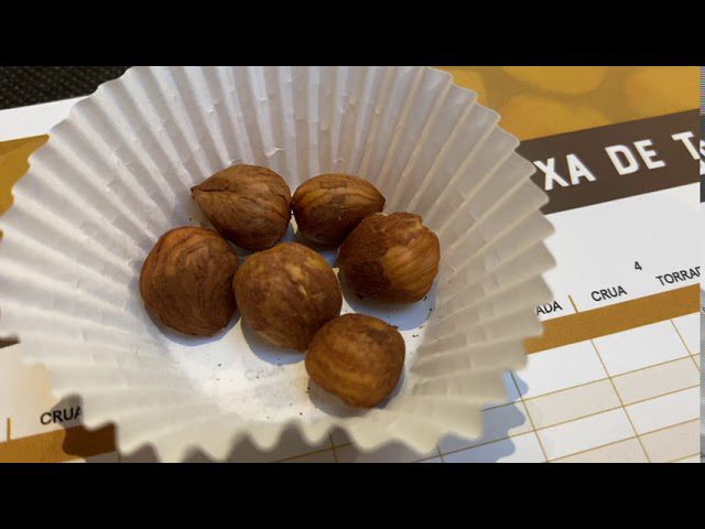 La Fiesta de la Avellana en Reus: Tradición y Agricultura