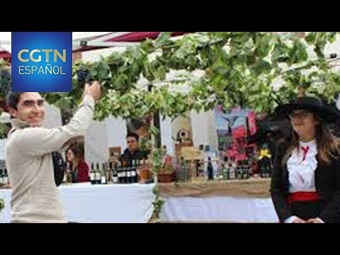La Fiesta de la Vendimia en Palmela: Vino y Tradición