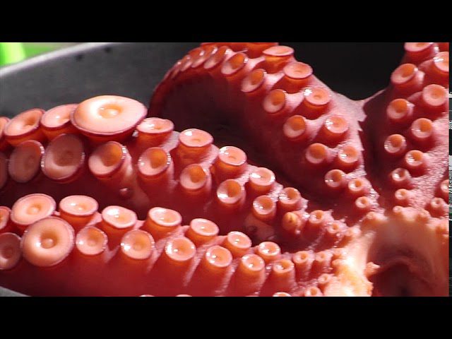 La-Fiesta-del-Pulpo-en-O-Carballino-Gastronomia-y-Cultura - Hunter Magazine La Fiesta del Pulpo en O Carballiño: Gastronomía y Cultura