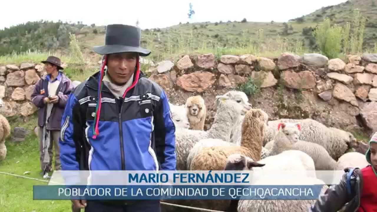 El Festival de la Trucha en Manteigas: Naturaleza y Sabor