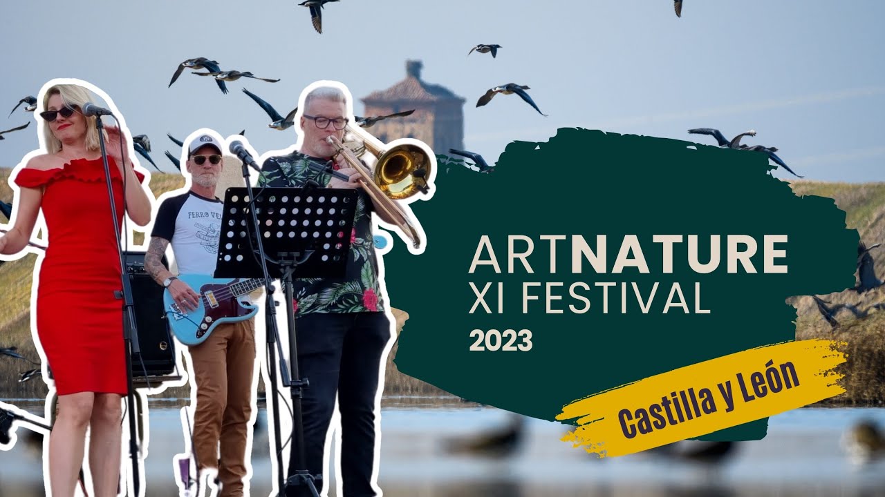 El Festival de los Humedales en Castro Verde: Naturaleza y Cultura