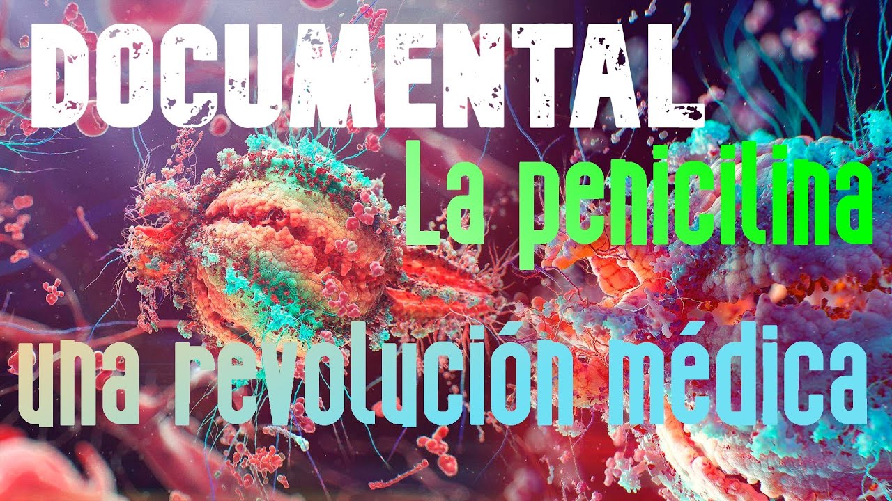 El descubrimiento de la penicilina: Una revolución en la medicina