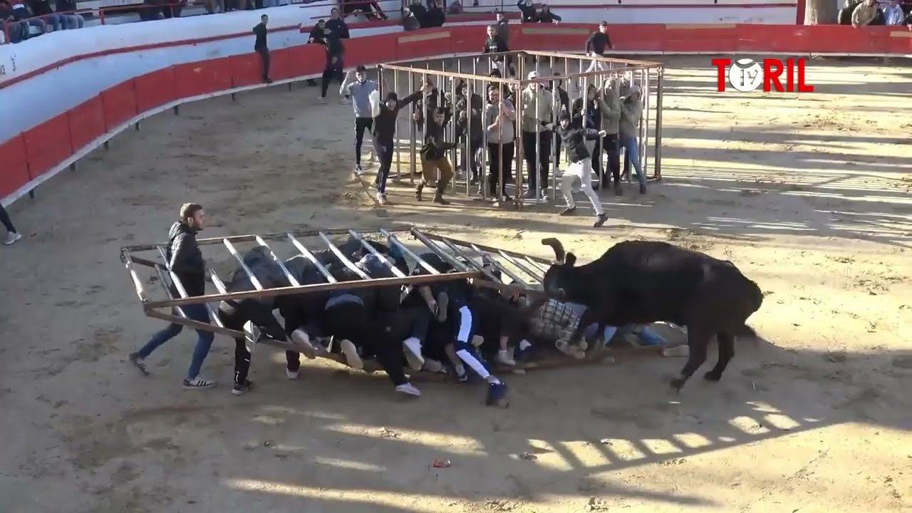 La Feria de Nîmes: Tradición y Espectáculo Taurino