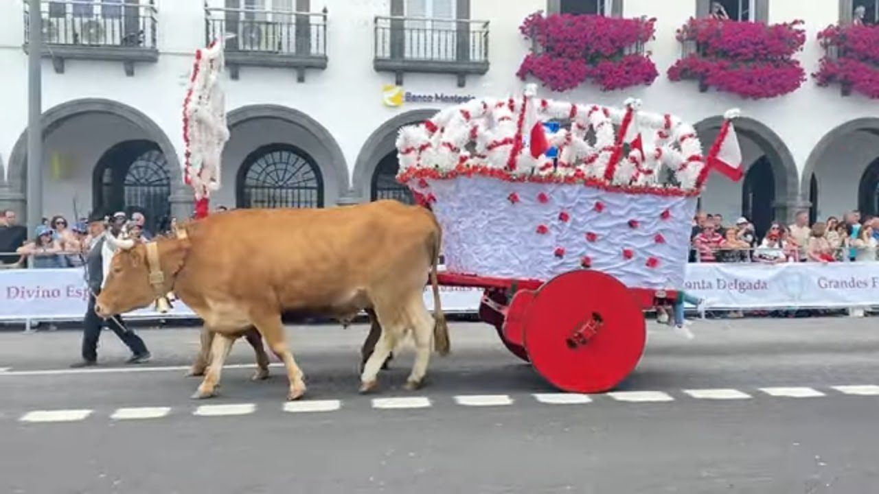 Las Festas do Espírito Santo en Azores: Fe y Comunidad
