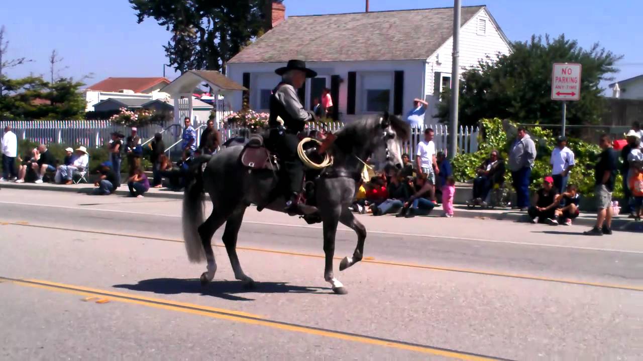 El Festival de la Alcachofa en Perpignan: Sabor y Cultura Catalana