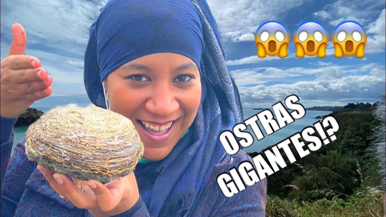 El Festival de la Ostricultura en Cancale: Mar y Sabor en Bretaña