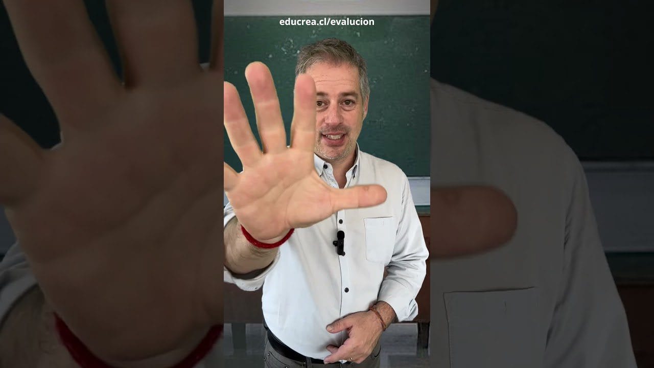Consejos-para-la-gestion-de-las-expectativas-escolares-y-extracurriculares - Hunter Magazine Consejos para la gestión de las expectativas escolares y extracurriculares